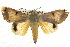  ( - BIOUG10024-C04)  @14 [ ] CreativeCommons - Attribution (2014) CBG Photography Group Centre for Biodiversity Genomics