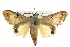  ( - BIOUG10024-C06)  @14 [ ] CreativeCommons - Attribution (2014) CBG Photography Group Centre for Biodiversity Genomics
