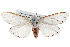  ( - BIOUG10024-F08)  @15 [ ] CreativeCommons - Attribution (2014) CBG Photography Group Centre for Biodiversity Genomics