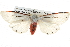  ( - BIOUG10024-G02)  @15 [ ] CreativeCommons - Attribution (2014) CBG Photography Group Centre for Biodiversity Genomics