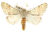  (Homospora - BIOUG10024-G08)  @15 [ ] CreativeCommons - Attribution (2014) CBG Photography Group Centre for Biodiversity Genomics