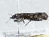  ( - BIOUG10026-C01)  @12 [ ] CreativeCommons - Attribution (2014) CBG Photography Group Centre for Biodiversity Genomics