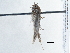  ( - BIOUG10026-F07)  @12 [ ] CreativeCommons - Attribution (2014) CBG Photography Group Centre for Biodiversity Genomics