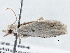  ( - BIOUG10026-H04)  @12 [ ] CreativeCommons - Attribution (2014) CBG Photography Group Centre for Biodiversity Genomics