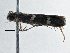  ( - BIOUG10027-A11)  @12 [ ] CreativeCommons - Attribution (2014) CBG Photography Group Centre for Biodiversity Genomics
