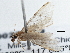  ( - BIOUG10027-B09)  @12 [ ] CreativeCommons - Attribution (2014) CBG Photography Group Centre for Biodiversity Genomics