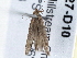  ( - BIOUG10027-D10)  @13 [ ] CreativeCommons - Attribution (2014) CBG Photography Group Centre for Biodiversity Genomics