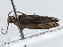  ( - BIOUG10027-G01)  @12 [ ] CreativeCommons - Attribution (2014) CBG Photography Group Centre for Biodiversity Genomics