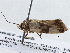  ( - BIOUG10027-H05)  @12 [ ] CreativeCommons - Attribution (2014) CBG Photography Group Centre for Biodiversity Genomics
