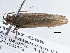  ( - BIOUG10397-C08)  @13 [ ] CreativeCommons - Attribution (2014) CBG Photography Group Centre for Biodiversity Genomics