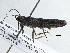  ( - BIOUG10397-D01)  @12 [ ] CreativeCommons - Attribution (2014) CBG Photography Group Centre for Biodiversity Genomics
