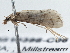  ( - BIOUG10398-C06)  @12 [ ] CreativeCommons - Attribution (2014) CBG Photography Group Centre for Biodiversity Genomics