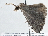 ( - BIOUG10398-C08)  @15 [ ] CreativeCommons - Attribution (2014) CBG Photography Group Centre for Biodiversity Genomics