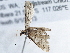  ( - BIOUG10398-G04)  @12 [ ] CreativeCommons - Attribution (2014) CBG Photography Group Centre for Biodiversity Genomics