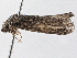  ( - BIOUG10399-H09)  @13 [ ] CreativeCommons - Attribution (2014) CBG Photography Group Centre for Biodiversity Genomics