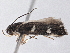  ( - BIOUG10400-A12)  @12 [ ] CreativeCommons - Attribution (2014) CBG Photography Group Centre for Biodiversity Genomics
