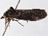  ( - BIOUG10400-C02)  @13 [ ] CreativeCommons - Attribution (2014) CBG Photography Group Centre for Biodiversity Genomics