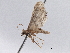  ( - BIOUG10400-G05)  @12 [ ] CreativeCommons - Attribution (2014) CBG Photography Group Centre for Biodiversity Genomics