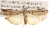  ( - BIOUG16870-B09)  @13 [ ] CreativeCommons - Attribution (2014) CBG Photography Group Centre for Biodiversity Genomics