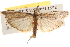  ( - BIOUG16870-B11)  @14 [ ] CreativeCommons - Attribution (2014) CBG Photography Group Centre for Biodiversity Genomics