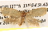  ( - BIOUG16870-H10)  @12 [ ] CreativeCommons - Attribution (2014) CBG Photography Group Centre for Biodiversity Genomics