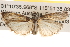  ( - BIOUG16871-A12)  @13 [ ] CreativeCommons - Attribution (2014) CBG Photography Group Centre for Biodiversity Genomics