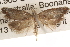  ( - BIOUG16871-B06)  @13 [ ] CreativeCommons - Attribution (2014) CBG Photography Group Centre for Biodiversity Genomics