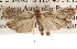  ( - BIOUG16871-D02)  @13 [ ] CreativeCommons - Attribution (2014) CBG Photography Group Centre for Biodiversity Genomics