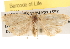  ( - BIOUG16871-E01)  @14 [ ] CreativeCommons - Attribution (2014) CBG Photography Group Centre for Biodiversity Genomics
