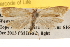  ( - BIOUG16871-F03)  @14 [ ] CreativeCommons - Attribution (2014) CBG Photography Group Centre for Biodiversity Genomics