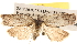  ( - BIOUG16871-H04)  @14 [ ] CreativeCommons - Attribution (2014) CBG Photography Group Centre for Biodiversity Genomics