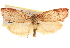  ( - BIOUG16872-E10)  @13 [ ] CreativeCommons - Attribution (2014) CBG Photography Group Centre for Biodiversity Genomics