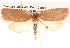  ( - BIOUG16873-E01)  @12 [ ] CreativeCommons - Attribution (2014) CBG Photography Group Centre for Biodiversity Genomics