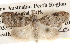  ( - BIOUG16873-G08)  @14 [ ] CreativeCommons - Attribution (2014) CBG Photography Group Centre for Biodiversity Genomics