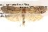 ( - BIOUG16873-G09)  @12 [ ] CreativeCommons - Attribution (2014) CBG Photography Group Centre for Biodiversity Genomics