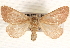  ( - BIOUG17341-B07)  @14 [ ] CreativeCommons - Attribution (2014) CBG Photography Group Centre for Biodiversity Genomics