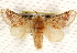  ( - BIOUG17341-B09)  @14 [ ] CreativeCommons - Attribution (2014) CBG Photography Group Centre for Biodiversity Genomics