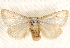  ( - BIOUG17341-D01)  @14 [ ] CreativeCommons - Attribution (2014) CBG Photography Group Centre for Biodiversity Genomics