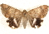  ( - BIOUG17341-E02)  @13 [ ] CreativeCommons - Attribution (2014) CBG Photography Group Centre for Biodiversity Genomics