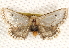  ( - BIOUG17341-H03)  @14 [ ] CreativeCommons - Attribution (2014) CBG Photography Group Centre for Biodiversity Genomics