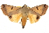  ( - BIOUG17342-E10)  @14 [ ] CreativeCommons - Attribution (2014) CBG Photography Group Centre for Biodiversity Genomics