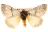  ( - BIOUG17342-E11)  @13 [ ] CreativeCommons - Attribution (2014) CBG Photography Group Centre for Biodiversity Genomics