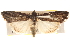  ( - BIOUG17342-G06)  @14 [ ] CreativeCommons - Attribution (2014) CBG Photography Group Centre for Biodiversity Genomics