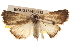  ( - BIOUG17342-G12)  @14 [ ] CreativeCommons - Attribution (2014) CBG Photography Group Centre for Biodiversity Genomics