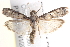  ( - BIOUG17344-F08)  @13 [ ] CreativeCommons - Attribution (2014) CBG Photography Group Centre for Biodiversity Genomics