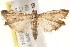  ( - BIOUG17344-H02)  @14 [ ] CreativeCommons - Attribution (2014) CBG Photography Group Centre for Biodiversity Genomics