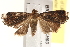  ( - BIOUG17344-H03)  @13 [ ] CreativeCommons - Attribution (2014) CBG Photography Group Centre for Biodiversity Genomics