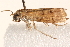  ( - BIOUG17457-B02)  @13 [ ] CreativeCommons - Attribution (2014) CBG Photography Group Centre for Biodiversity Genomics