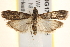 ( - BIOUG17457-B04)  @13 [ ] CreativeCommons - Attribution (2014) CBG Photography Group Centre for Biodiversity Genomics