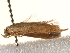  ( - BIOUG17457-G03)  @12 [ ] CreativeCommons - Attribution (2014) CBG Photography Group Centre for Biodiversity Genomics